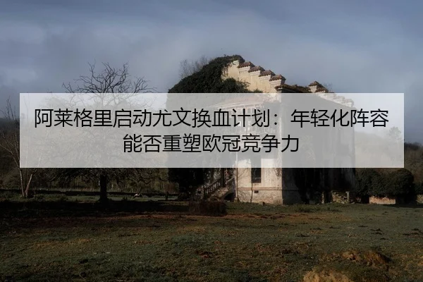 a-lai-ge-li-qi-dong-you-wen-huan-xie-ji-hua-nian-qing-hua-zhen-rong-neng-fou-zhong-su-ou-guan-jing-zheng-li-2-331.jpg
