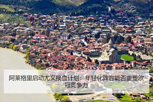 a-lai-ge-li-qi-dong-you-wen-huan-xie-ji-hua-nian-qing-hua-zhen-rong-neng-fou-zhong-su-ou-guan-jing-zheng-li-3-409.jpg