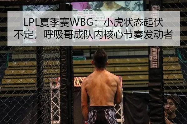 LPL夏季赛WBG：小虎状态起伏不定，呼吸哥成队内核心节奏发动者