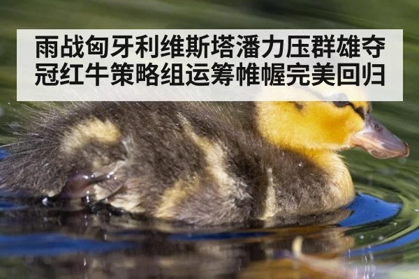 雨战匈牙利维斯塔潘力压群雄夺冠红牛策略组运筹帷幄完美回归